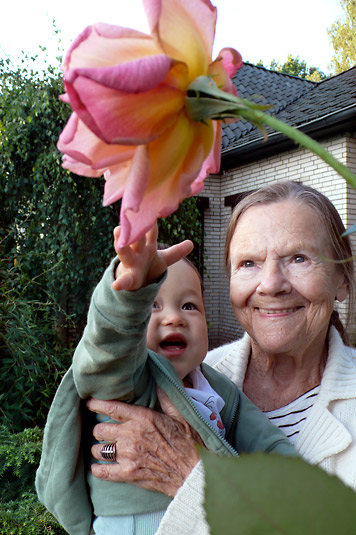 100460_tobin_hilde_rose